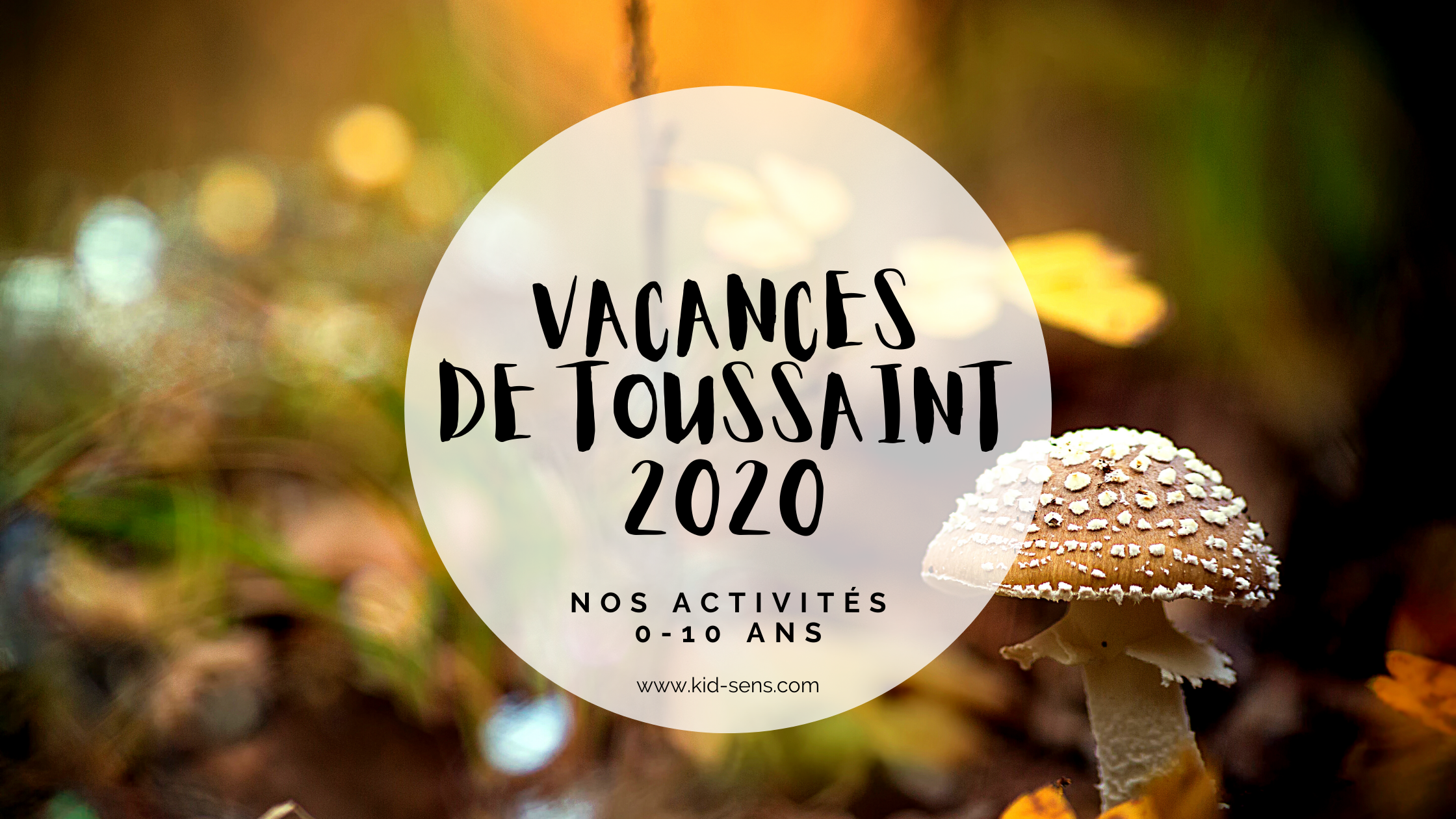 Activités enfant pendant les vacances de la Toussaint à Aix en Provence